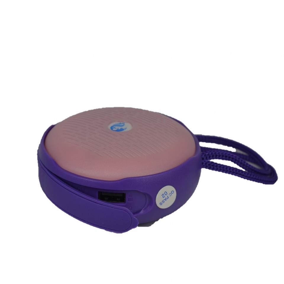 Bs607 Askı Aparatlı Bluetoot Kablosuz Hoparlör Bs607 Askı Aparatlı Bluetoot Kablosuz Hoparlör