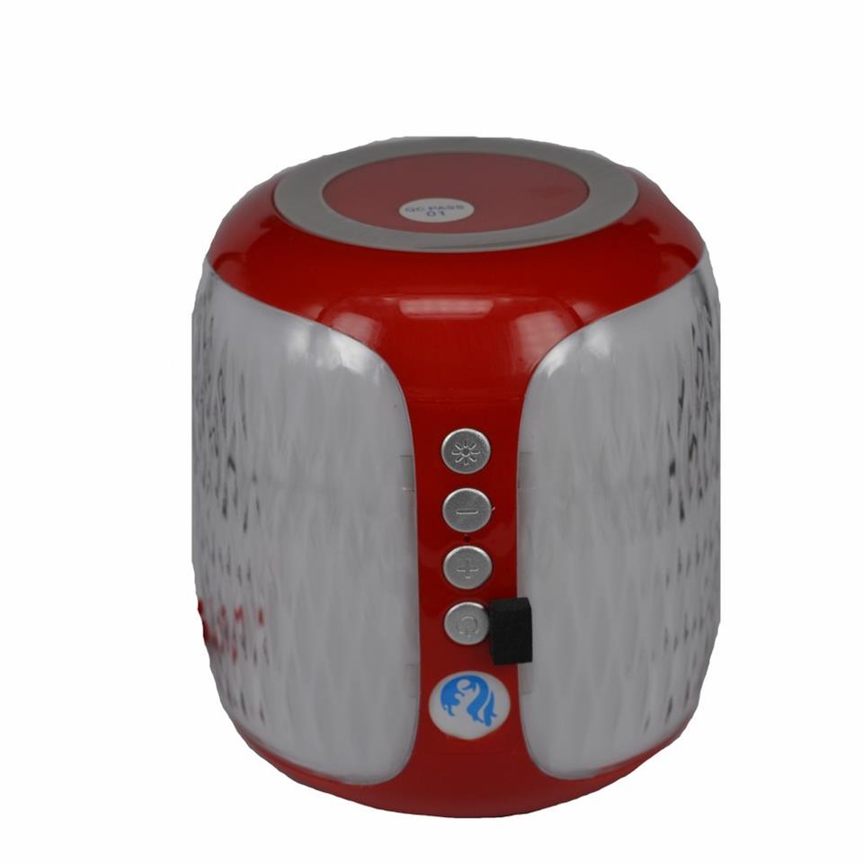 Bs611 Askı Aparatlı Bluetooth Kablosuz Hoparlör Bs611 Askı Aparatlı Bluetooth Kablosuz Hoparlör